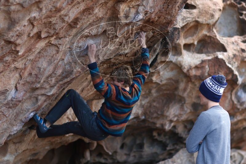 

Filename: SRM_20161225_1226020.jpg
Aperture: f/2.0
Shutter Speed: 1/320
Body: Canon EOS-1D Mark II
Lens: Canon EF 85mm f/1.2 L II