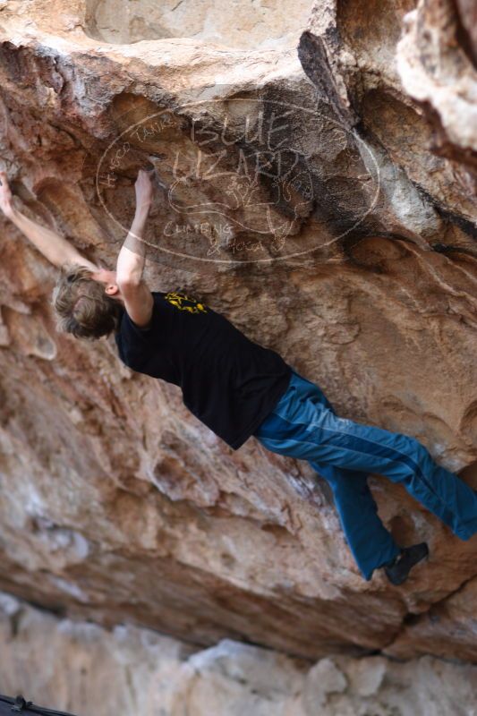 

Filename: SRM_20161225_1242521.jpg
Aperture: f/2.0
Shutter Speed: 1/320
Body: Canon EOS-1D Mark II
Lens: Canon EF 85mm f/1.2 L II