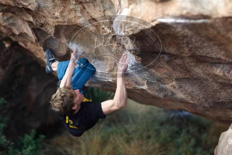 

Filename: SRM_20161225_1304581.jpg
Aperture: f/2.0
Shutter Speed: 1/320
Body: Canon EOS-1D Mark II
Lens: Canon EF 85mm f/1.2 L II