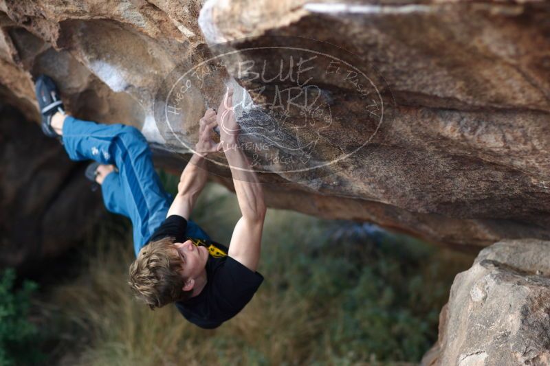 

Filename: SRM_20161225_1305040.jpg
Aperture: f/2.0
Shutter Speed: 1/320
Body: Canon EOS-1D Mark II
Lens: Canon EF 85mm f/1.2 L II