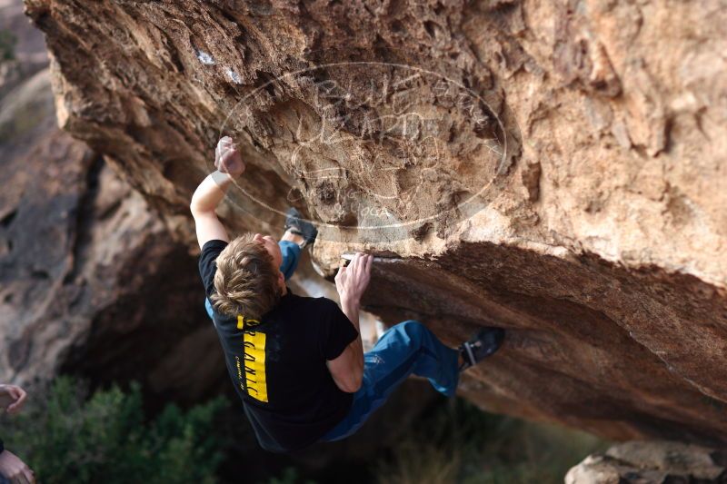 

Filename: SRM_20161225_1308550.jpg
Aperture: f/2.0
Shutter Speed: 1/500
Body: Canon EOS-1D Mark II
Lens: Canon EF 85mm f/1.2 L II