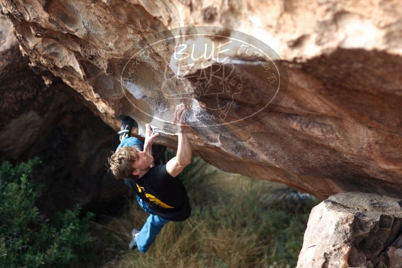 

Filename: SRM_20161225_1310320.jpg
Aperture: f/2.0
Shutter Speed: 1/500
Body: Canon EOS-1D Mark II
Lens: Canon EF 85mm f/1.2 L II