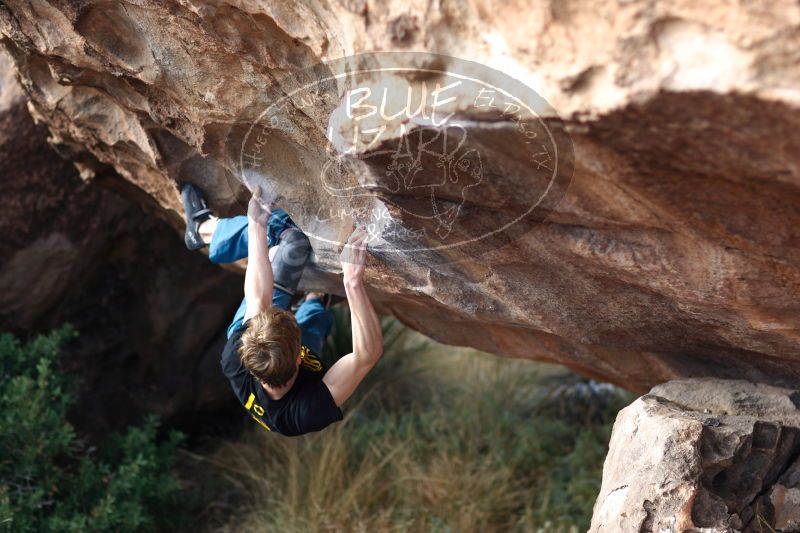 

Filename: SRM_20161225_1310390.jpg
Aperture: f/2.0
Shutter Speed: 1/400
Body: Canon EOS-1D Mark II
Lens: Canon EF 85mm f/1.2 L II