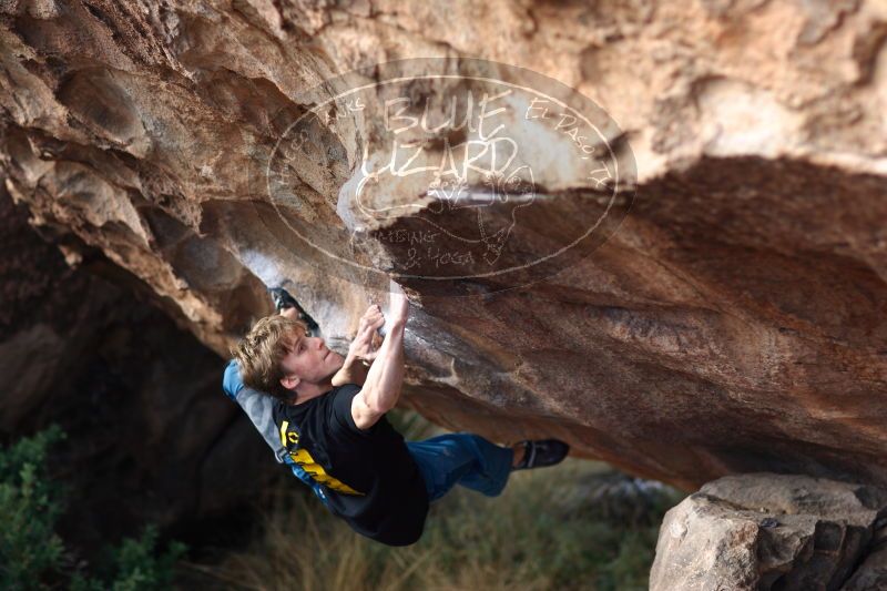 

Filename: SRM_20161225_1310501.jpg
Aperture: f/2.0
Shutter Speed: 1/500
Body: Canon EOS-1D Mark II
Lens: Canon EF 85mm f/1.2 L II