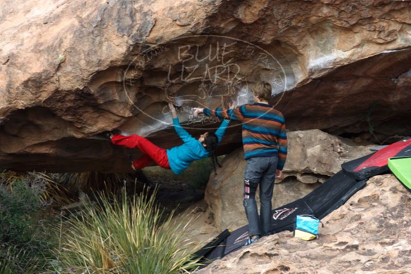 

Filename: SRM_20161225_1323280.jpg
Aperture: f/4.0
Shutter Speed: 1/250
Body: Canon EOS-1D Mark II
Lens: Canon EF 85mm f/1.2 L II