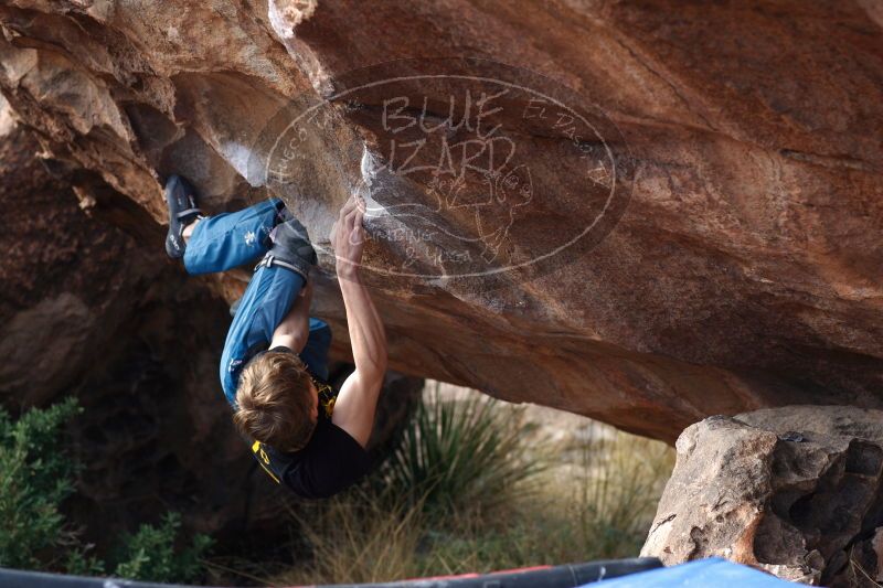 

Filename: SRM_20161225_1327280.jpg
Aperture: f/4.0
Shutter Speed: 1/125
Body: Canon EOS-1D Mark II
Lens: Canon EF 85mm f/1.2 L II