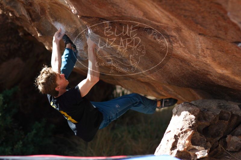 

Filename: SRM_20161225_1331180.jpg
Aperture: f/2.0
Shutter Speed: 1/1000
Body: Canon EOS-1D Mark II
Lens: Canon EF 85mm f/1.2 L II