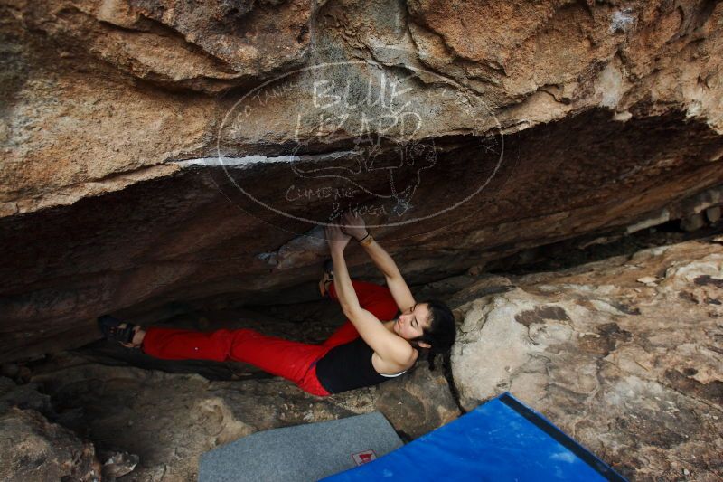 

Filename: SRM_20161225_1343380.jpg
Aperture: f/5.6
Shutter Speed: 1/500
Body: Canon EOS-1D Mark II
Lens: Canon EF 16-35mm f/2.8 L