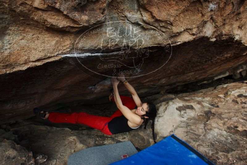 

Filename: SRM_20161225_1343381.jpg
Aperture: f/5.6
Shutter Speed: 1/640
Body: Canon EOS-1D Mark II
Lens: Canon EF 16-35mm f/2.8 L