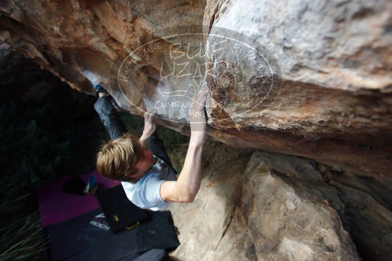 

Filename: SRM_20161225_1349381.jpg
Aperture: f/4.0
Shutter Speed: 1/640
Body: Canon EOS-1D Mark II
Lens: Canon EF 16-35mm f/2.8 L