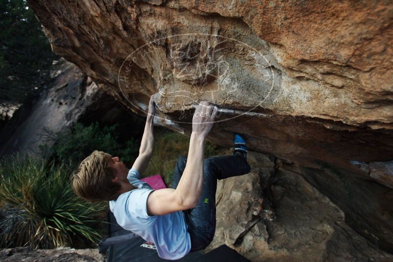 

Filename: SRM_20161225_1412371.jpg
Aperture: f/4.0
Shutter Speed: 1/800
Body: Canon EOS-1D Mark II
Lens: Canon EF 16-35mm f/2.8 L