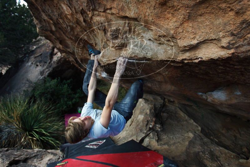 

Filename: SRM_20161225_1412400.jpg
Aperture: f/4.0
Shutter Speed: 1/640
Body: Canon EOS-1D Mark II
Lens: Canon EF 16-35mm f/2.8 L