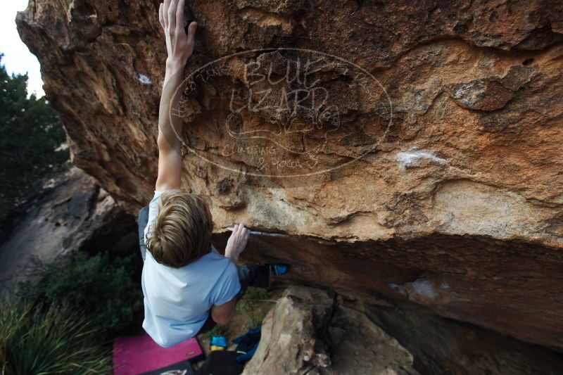 

Filename: SRM_20161225_1412471.jpg
Aperture: f/4.0
Shutter Speed: 1/800
Body: Canon EOS-1D Mark II
Lens: Canon EF 16-35mm f/2.8 L