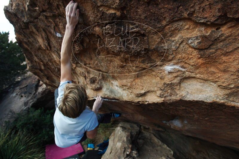 

Filename: SRM_20161225_1412472.jpg
Aperture: f/4.0
Shutter Speed: 1/640
Body: Canon EOS-1D Mark II
Lens: Canon EF 16-35mm f/2.8 L