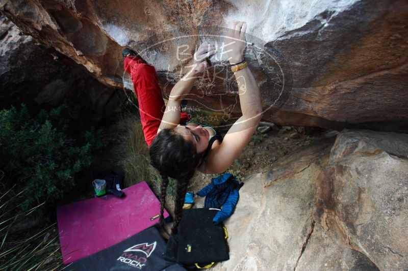 

Filename: SRM_20161225_1414230.jpg
Aperture: f/4.0
Shutter Speed: 1/500
Body: Canon EOS-1D Mark II
Lens: Canon EF 16-35mm f/2.8 L