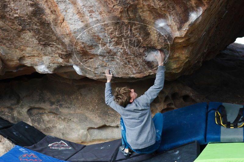 

Filename: SRM_20161225_1529183.jpg
Aperture: f/4.0
Shutter Speed: 1/640
Body: Canon EOS-1D Mark II
Lens: Canon EF 85mm f/1.2 L II