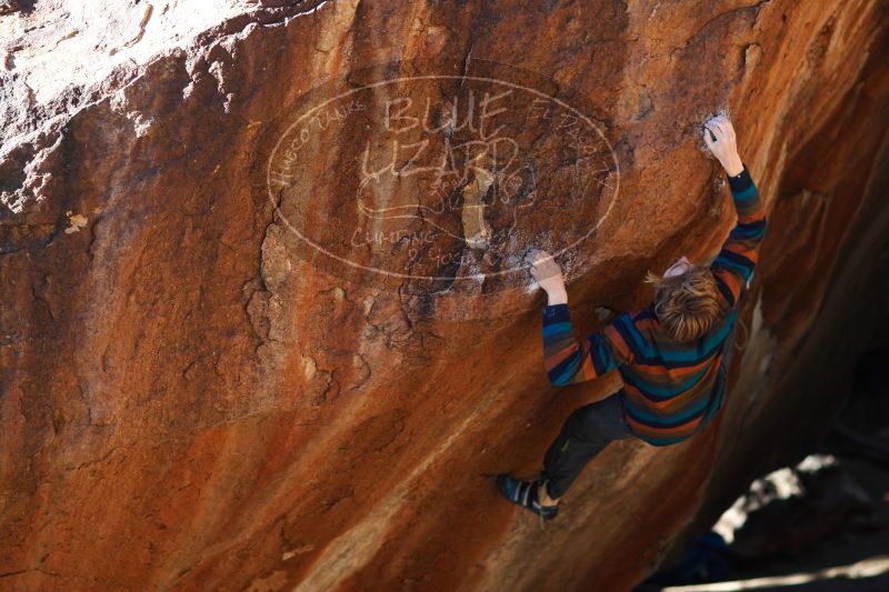 

Filename: SRM_20161225_1716131.jpg
Aperture: f/2.0
Shutter Speed: 1/800
Body: Canon EOS-1D Mark II
Lens: Canon EF 85mm f/1.2 L II