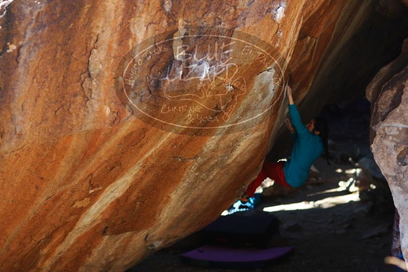 

Filename: SRM_20161225_1729540.jpg
Aperture: f/2.0
Shutter Speed: 1/500
Body: Canon EOS-1D Mark II
Lens: Canon EF 85mm f/1.2 L II