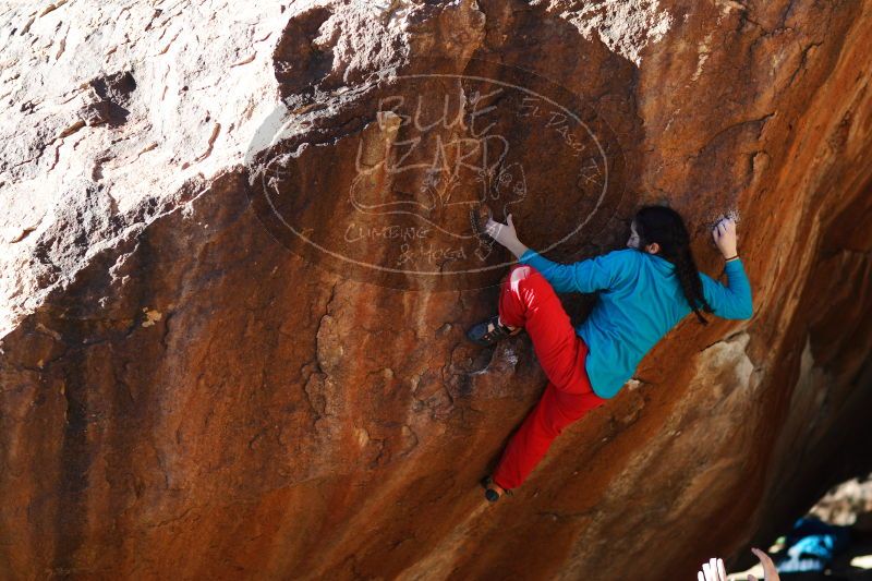 

Filename: SRM_20161225_1731081.jpg
Aperture: f/2.0
Shutter Speed: 1/1000
Body: Canon EOS-1D Mark II
Lens: Canon EF 85mm f/1.2 L II