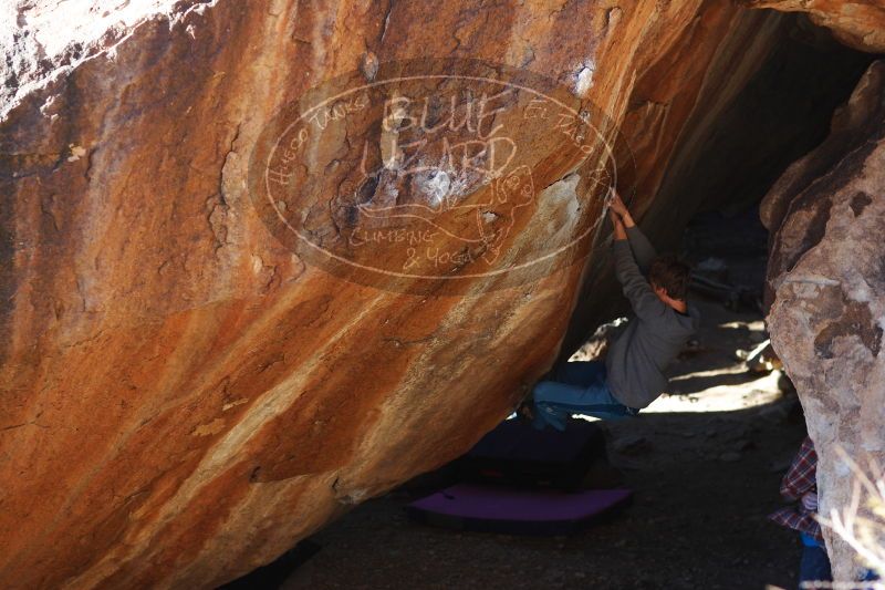 

Filename: SRM_20161225_1739170.jpg
Aperture: f/2.8
Shutter Speed: 1/500
Body: Canon EOS-1D Mark II
Lens: Canon EF 85mm f/1.2 L II