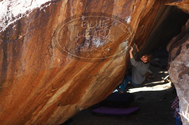 

Filename: SRM_20161225_1739190.jpg
Aperture: f/2.8
Shutter Speed: 1/640
Body: Canon EOS-1D Mark II
Lens: Canon EF 85mm f/1.2 L II