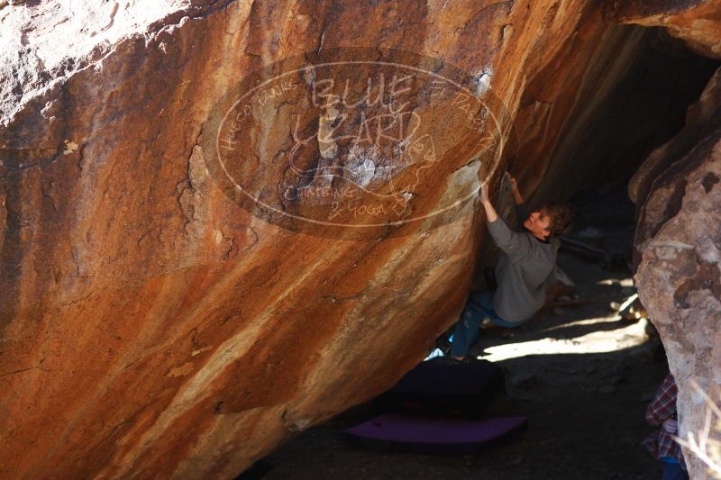 

Filename: SRM_20161225_1739192.jpg
Aperture: f/2.8
Shutter Speed: 1/640
Body: Canon EOS-1D Mark II
Lens: Canon EF 85mm f/1.2 L II