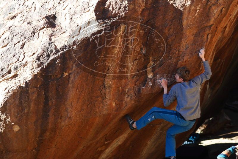 

Filename: SRM_20161225_1739510.jpg
Aperture: f/2.8
Shutter Speed: 1/1000
Body: Canon EOS-1D Mark II
Lens: Canon EF 85mm f/1.2 L II