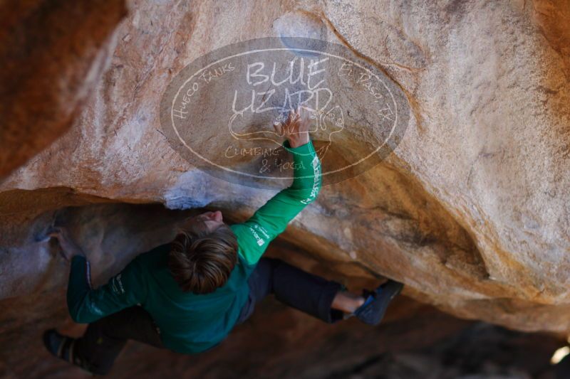 

Filename: SRM_20161225_1812490.jpg
Aperture: f/2.0
Shutter Speed: 1/400
Body: Canon EOS-1D Mark II
Lens: Canon EF 85mm f/1.2 L II