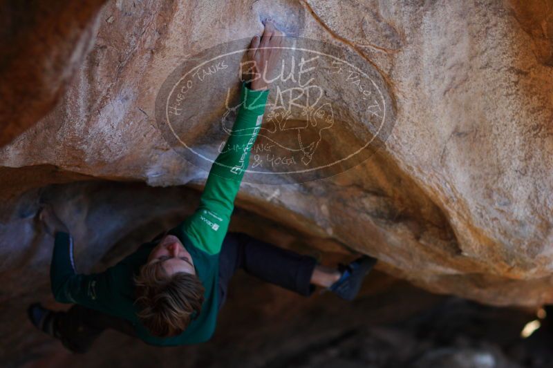 

Filename: SRM_20161225_1812501.jpg
Aperture: f/2.0
Shutter Speed: 1/640
Body: Canon EOS-1D Mark II
Lens: Canon EF 85mm f/1.2 L II