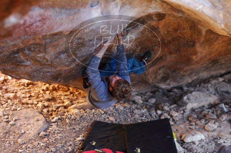 

Filename: SRM_20161225_1814100.jpg
Aperture: f/2.0
Shutter Speed: 1/160
Body: Canon EOS-1D Mark II
Lens: Canon EF 85mm f/1.2 L II