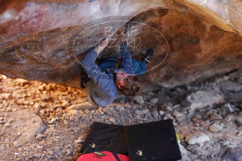 

Filename: SRM_20161225_1814110.jpg
Aperture: f/2.0
Shutter Speed: 1/160
Body: Canon EOS-1D Mark II
Lens: Canon EF 85mm f/1.2 L II