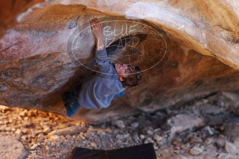 

Filename: SRM_20161225_1814114.jpg
Aperture: f/2.0
Shutter Speed: 1/160
Body: Canon EOS-1D Mark II
Lens: Canon EF 85mm f/1.2 L II