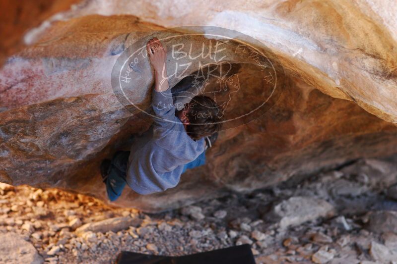 

Filename: SRM_20161225_1814116.jpg
Aperture: f/2.0
Shutter Speed: 1/160
Body: Canon EOS-1D Mark II
Lens: Canon EF 85mm f/1.2 L II