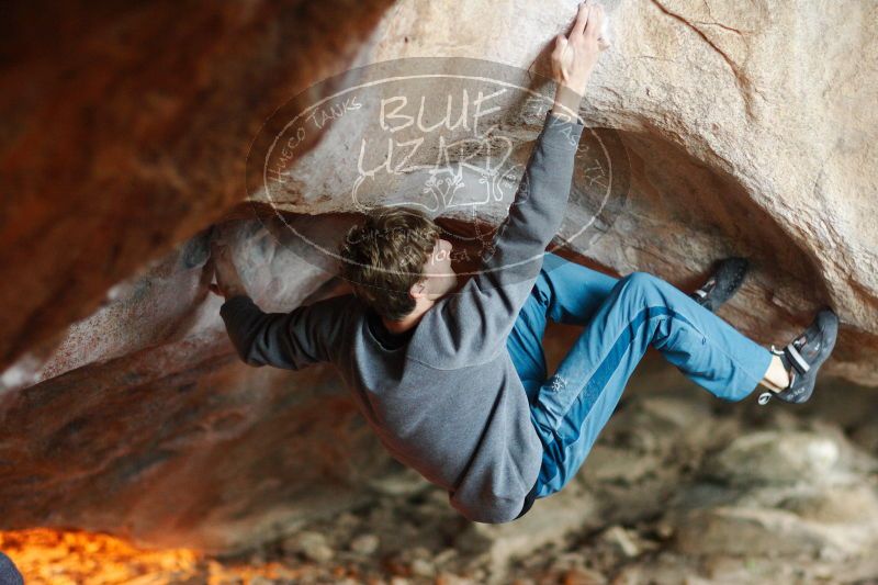 

Filename: SRM_20161225_1846581.jpg
Aperture: f/1.8
Shutter Speed: 1/250
Body: Canon EOS-1D Mark II
Lens: Canon EF 85mm f/1.2 L II