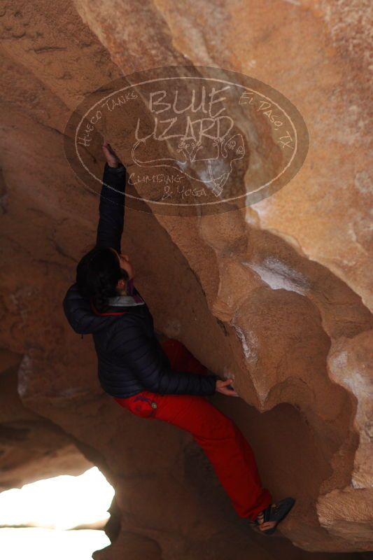 

Filename: SRM_20161222_1156510.jpg
Aperture: f/2.0
Shutter Speed: 1/320
Body: Canon EOS-1D Mark II
Lens: Canon EF 85mm f/1.2 L II