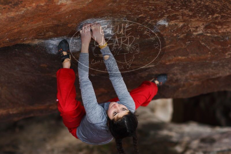 

Filename: SRM_20161222_1458031.jpg
Aperture: f/2.0
Shutter Speed: 1/800
Body: Canon EOS-1D Mark II
Lens: Canon EF 85mm f/1.2 L II