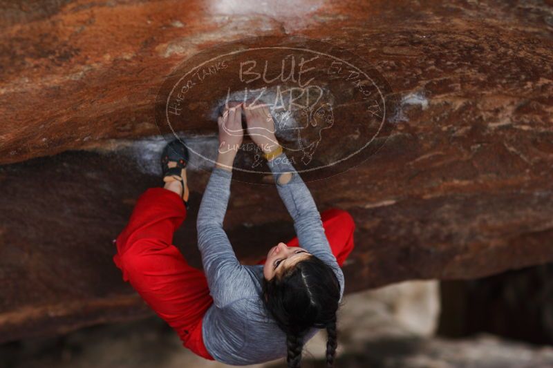 

Filename: SRM_20161222_1458033.jpg
Aperture: f/2.0
Shutter Speed: 1/800
Body: Canon EOS-1D Mark II
Lens: Canon EF 85mm f/1.2 L II