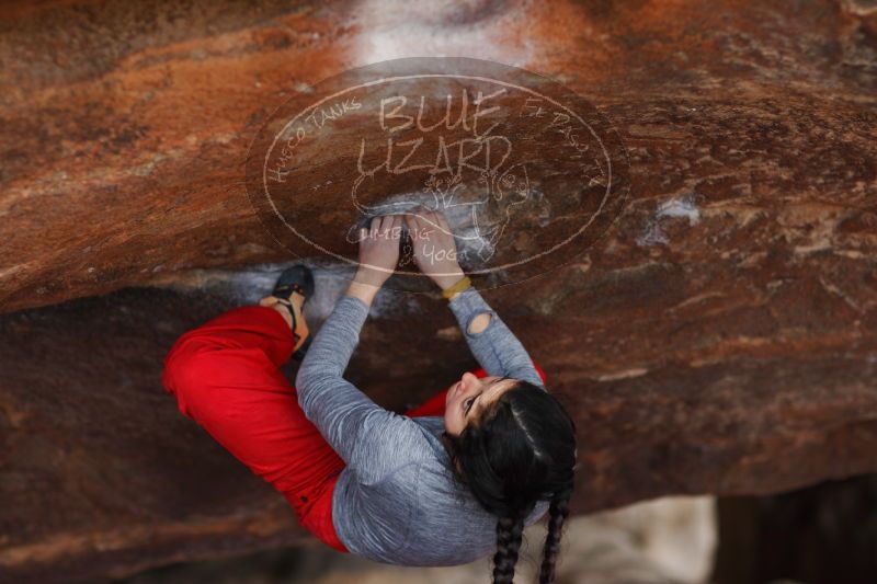 

Filename: SRM_20161222_1458040.jpg
Aperture: f/2.0
Shutter Speed: 1/640
Body: Canon EOS-1D Mark II
Lens: Canon EF 85mm f/1.2 L II