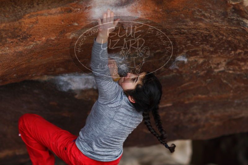 

Filename: SRM_20161222_1458042.jpg
Aperture: f/2.0
Shutter Speed: 1/800
Body: Canon EOS-1D Mark II
Lens: Canon EF 85mm f/1.2 L II