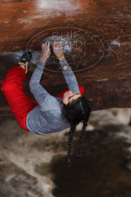 

Filename: SRM_20161222_1502010.jpg
Aperture: f/2.0
Shutter Speed: 1/800
Body: Canon EOS-1D Mark II
Lens: Canon EF 85mm f/1.2 L II