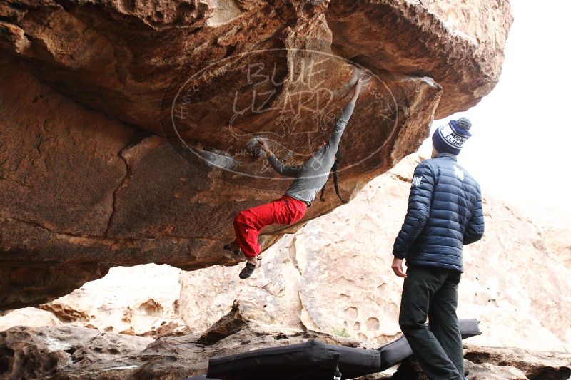 

Filename: SRM_20161222_1524010.jpg
Aperture: f/4.0
Shutter Speed: 1/500
Body: Canon EOS-1D Mark II
Lens: Canon EF 16-35mm f/2.8 L