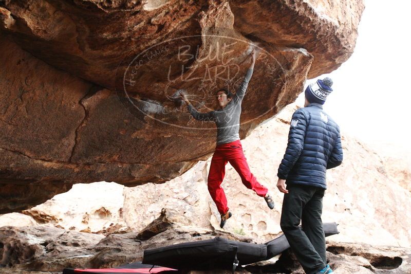 

Filename: SRM_20161222_1524013.jpg
Aperture: f/4.0
Shutter Speed: 1/500
Body: Canon EOS-1D Mark II
Lens: Canon EF 16-35mm f/2.8 L