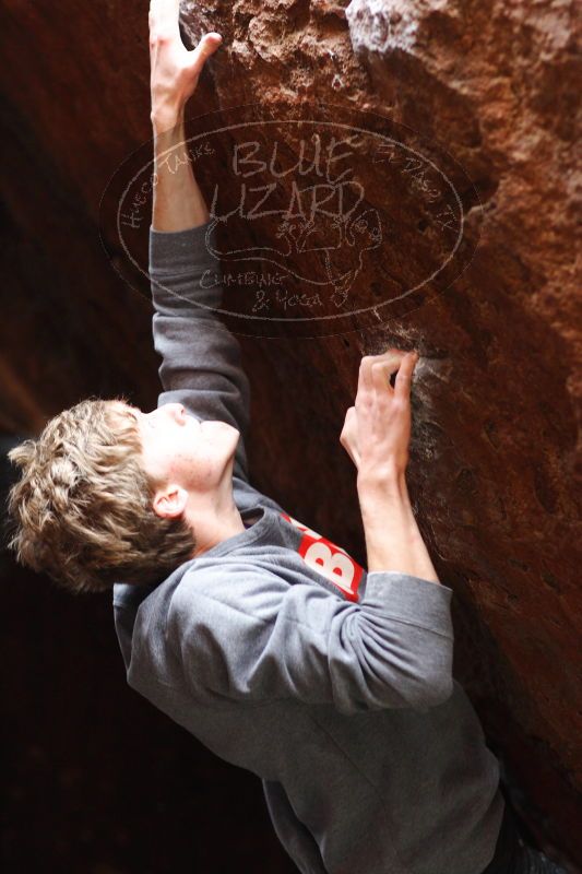 

Filename: SRM_20161222_1640191.jpg
Aperture: f/2.2
Shutter Speed: 1/250
Body: Canon EOS-1D Mark II
Lens: Canon EF 85mm f/1.2 L II