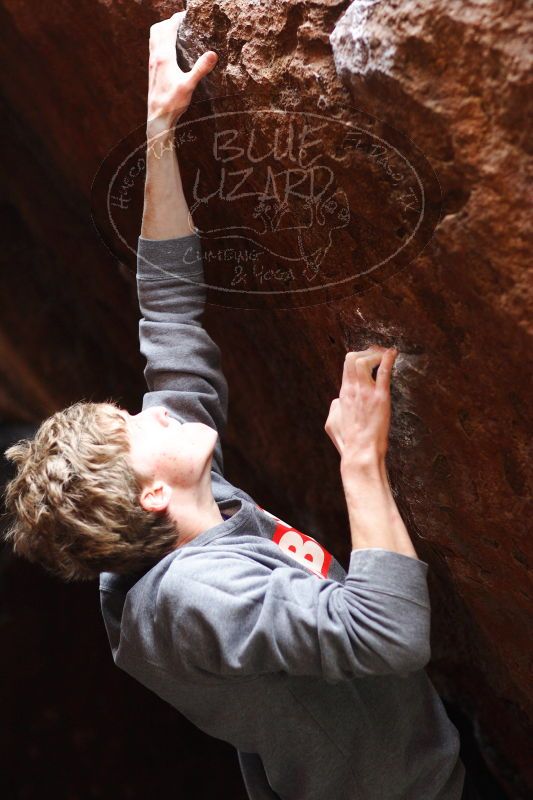 

Filename: SRM_20161222_1640192.jpg
Aperture: f/2.2
Shutter Speed: 1/250
Body: Canon EOS-1D Mark II
Lens: Canon EF 85mm f/1.2 L II