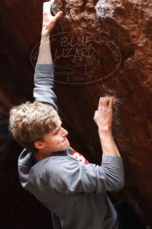 

Filename: SRM_20161222_1640200.jpg
Aperture: f/2.2
Shutter Speed: 1/250
Body: Canon EOS-1D Mark II
Lens: Canon EF 85mm f/1.2 L II