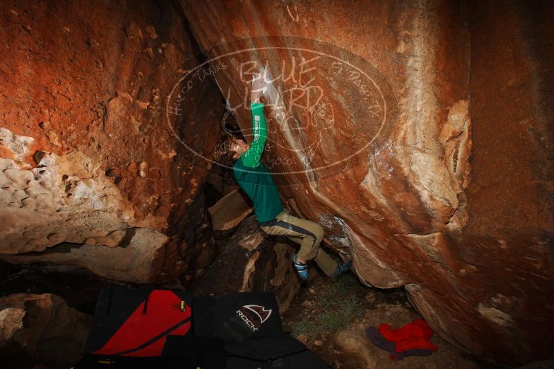 

Filename: SRM_20161222_1705460.jpg
Aperture: f/8.0
Shutter Speed: 1/250
Body: Canon EOS-1D Mark II
Lens: Canon EF 16-35mm f/2.8 L