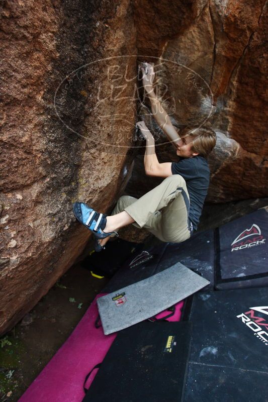 

Filename: SRM_20161223_1241330.jpg
Aperture: f/4.0
Shutter Speed: 1/320
Body: Canon EOS-1D Mark II
Lens: Canon EF 16-35mm f/2.8 L