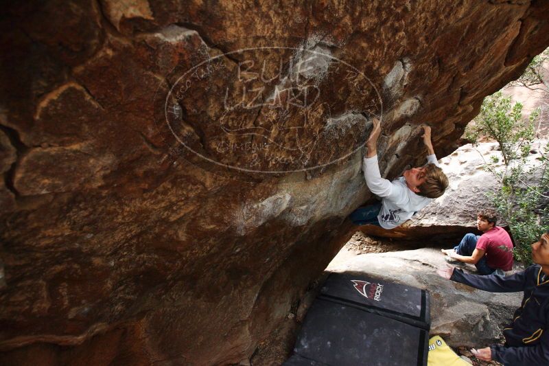 

Filename: SRM_20161223_1248071.jpg
Aperture: f/4.0
Shutter Speed: 1/320
Body: Canon EOS-1D Mark II
Lens: Canon EF 16-35mm f/2.8 L