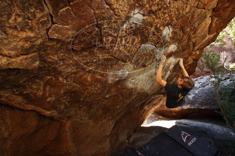 

Filename: SRM_20161223_1255250.jpg
Aperture: f/4.0
Shutter Speed: 1/250
Body: Canon EOS-1D Mark II
Lens: Canon EF 16-35mm f/2.8 L