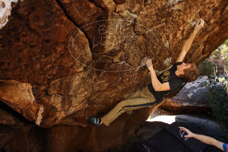 

Filename: SRM_20161223_1255480.jpg
Aperture: f/4.0
Shutter Speed: 1/320
Body: Canon EOS-1D Mark II
Lens: Canon EF 16-35mm f/2.8 L